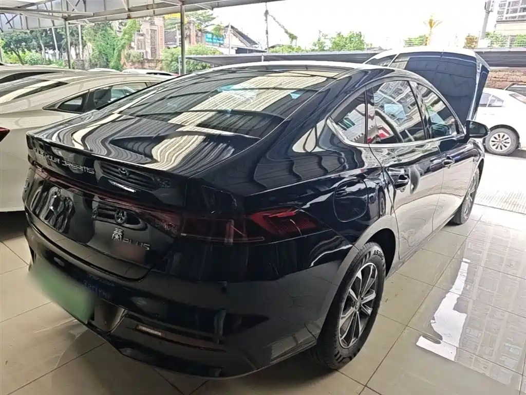 BYD Qin PLUS 2024 — фото 7