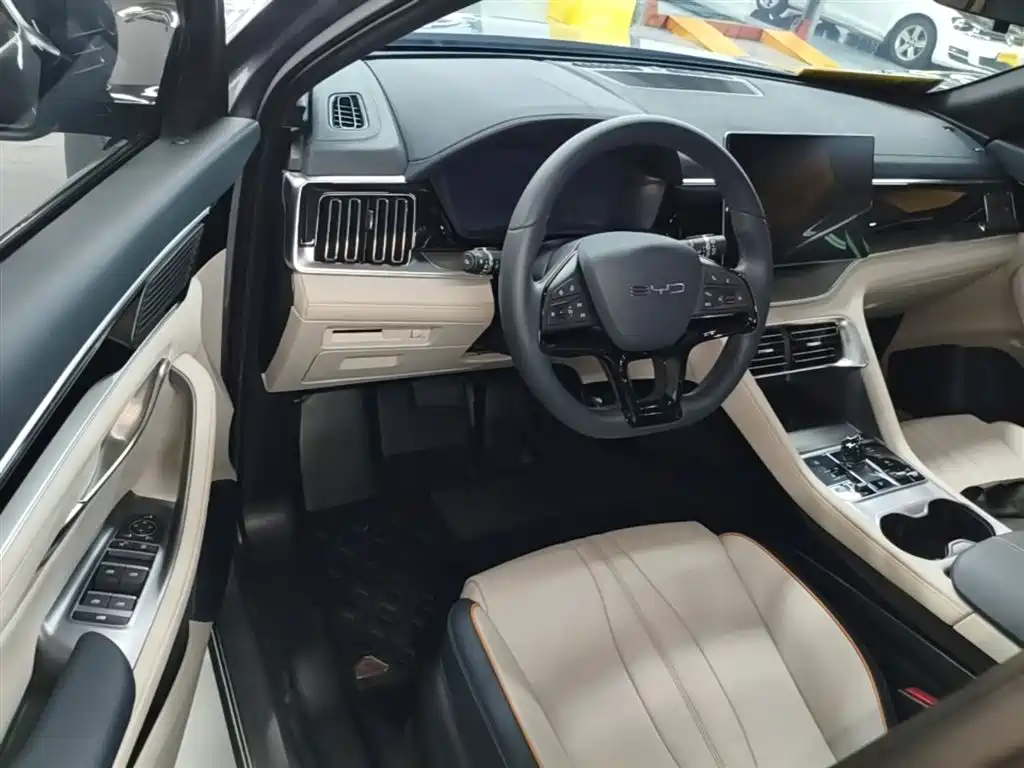 BYD PLUS New Energy 2024 — фото 16