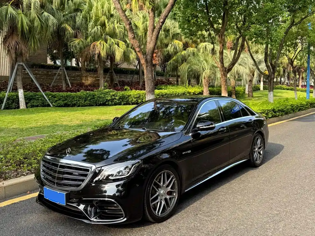 Mercedes-Benz S-Class AMG 2019 — фото 1