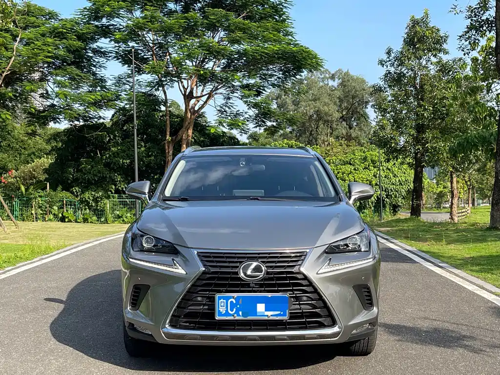 Lexus NX 2020
