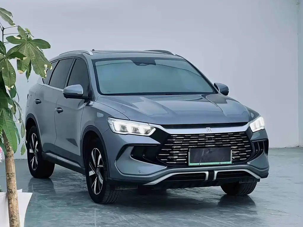 BYD Pro New Energy 2023 — фото 3