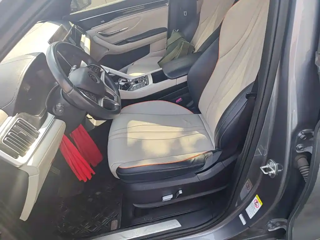 BYD Song PLUS New Energy 2022 — фото 15