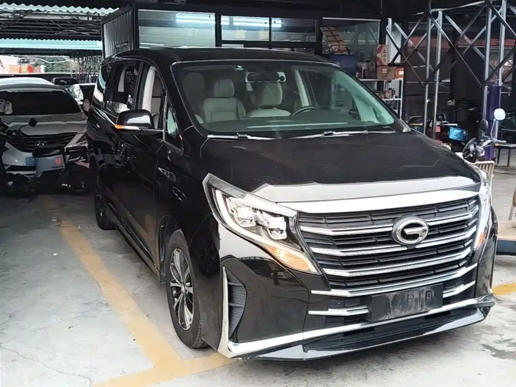 GAC Motor Trumpchi M8 2022 — фото 4