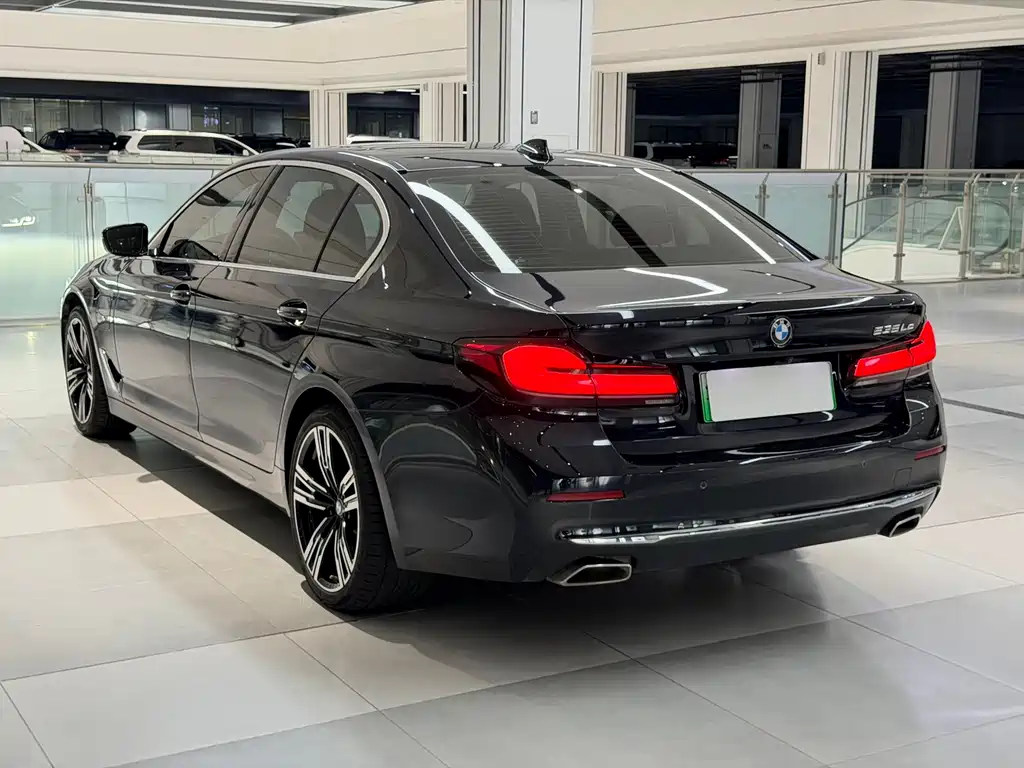 BMW 5 Series New Energy 2021