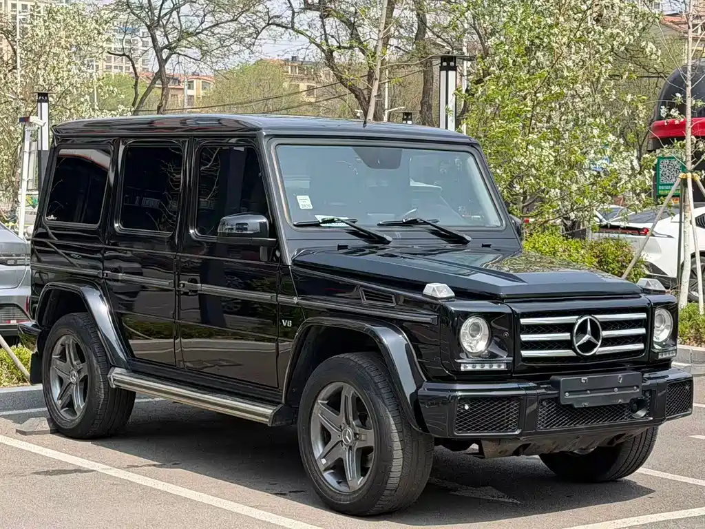 Mercedes-Benz G-Class 2016 — фото 3