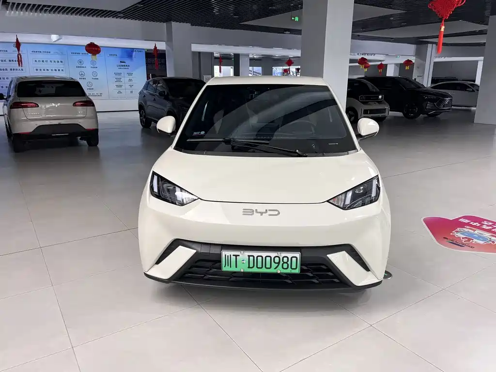 BYD Seagull 2024