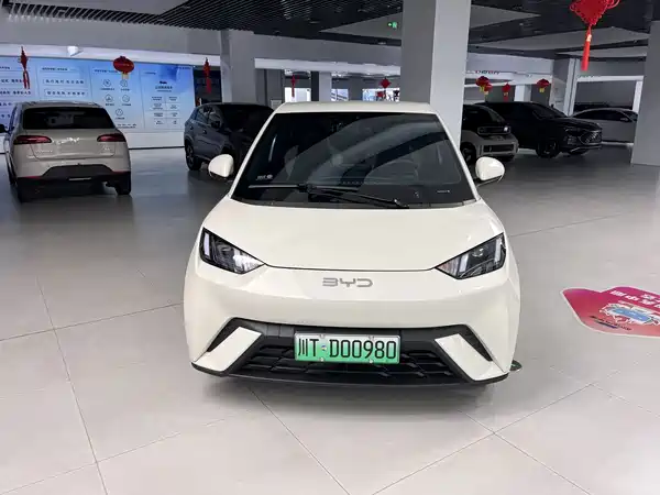 BYD Seagull 2024