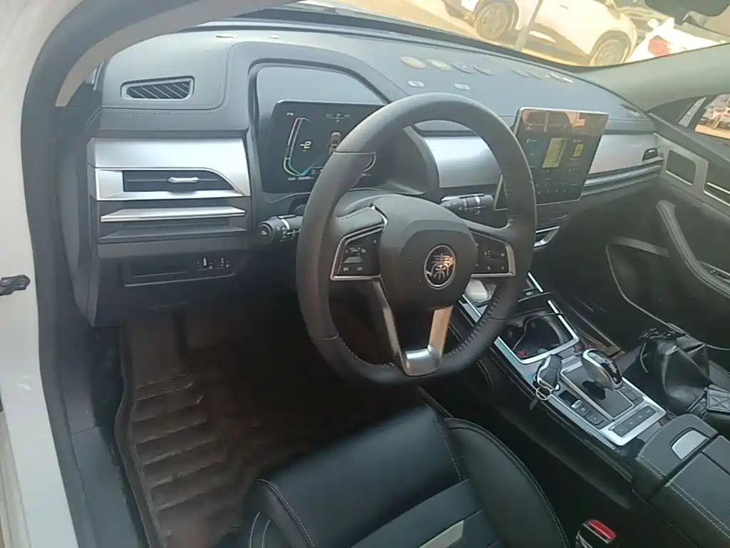 BYD Qin Pro New Energy 2019 — фото 10