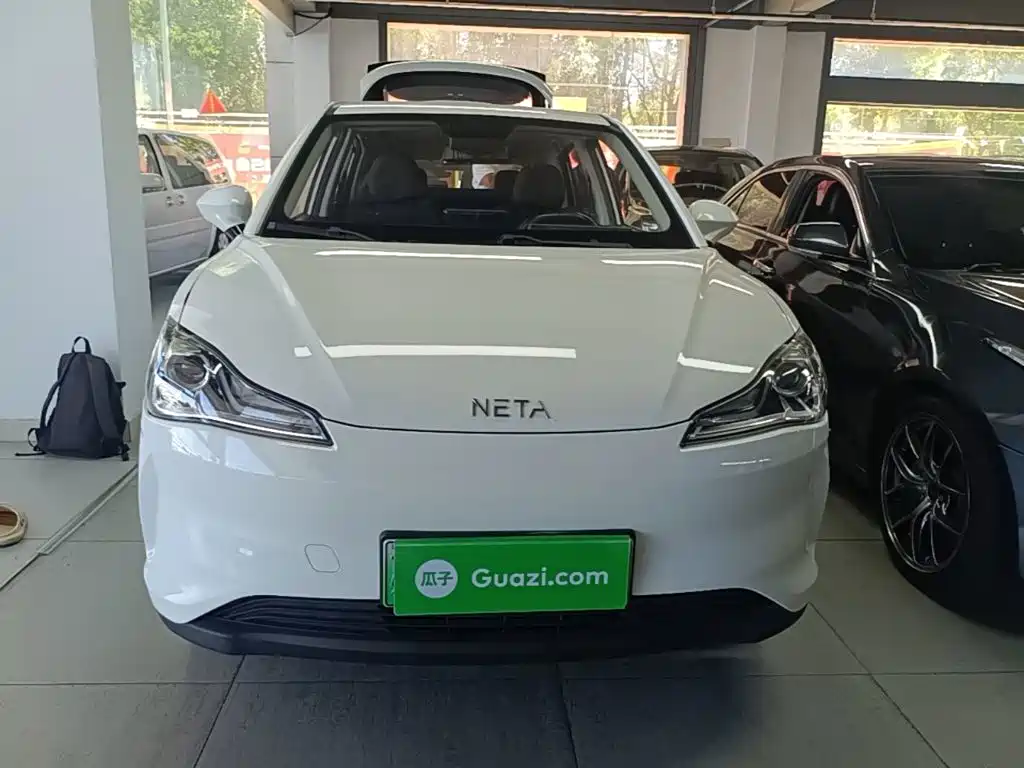 Neta V 2021