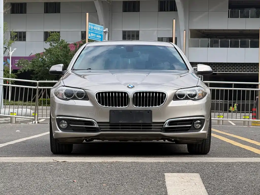 BMW 5 Series 2014 — фото 2