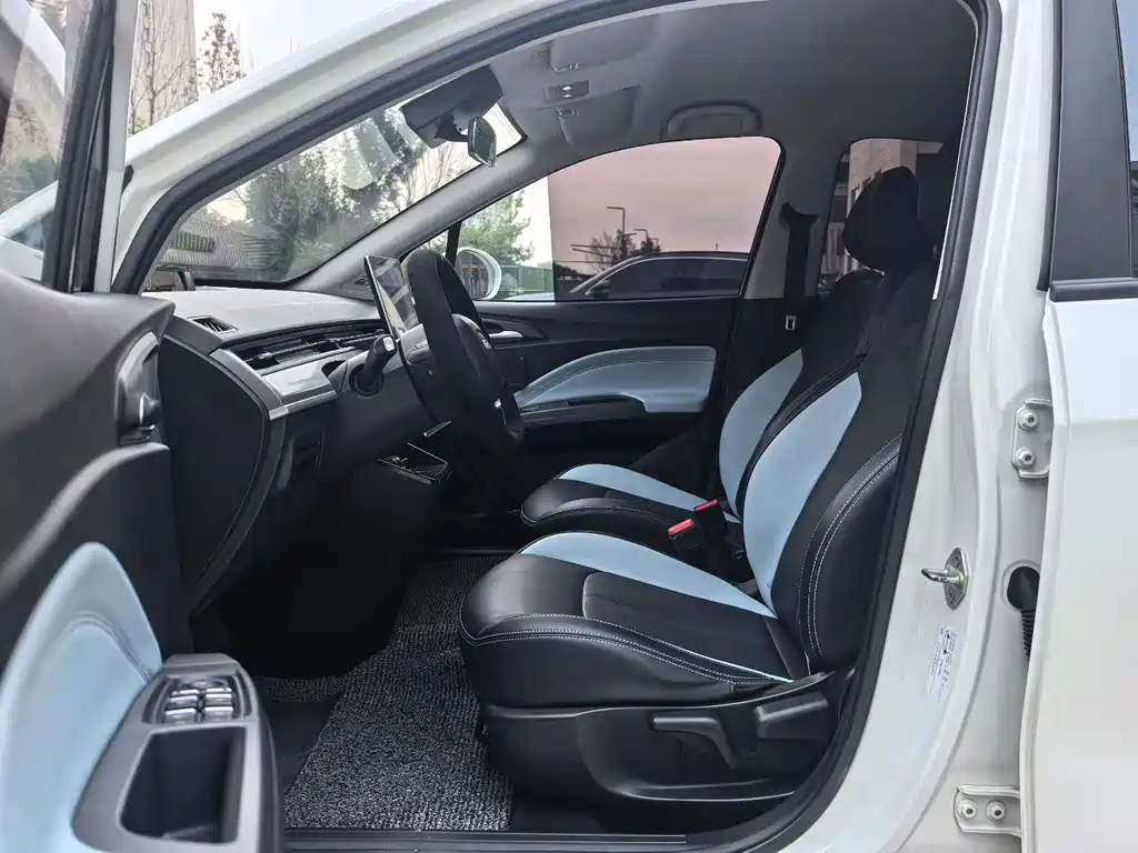 Neta V 2020