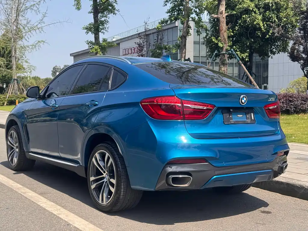 BMW X6 2019 — фото 6