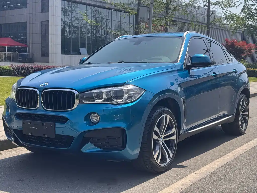 BMW X6 2019 — фото 1