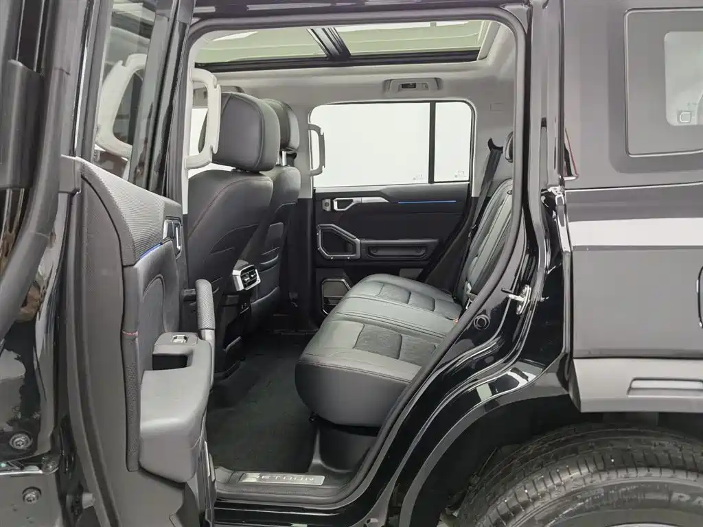 Shanhai Traveller C-DM 2025 — фото 15