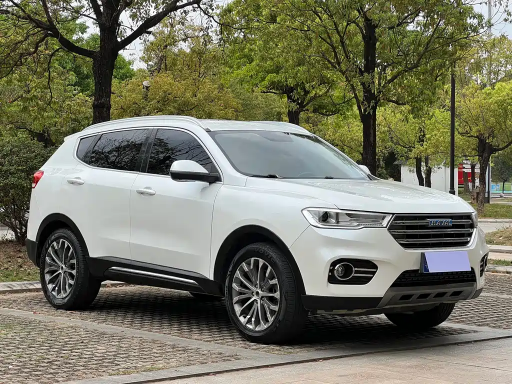 Haval H6 2017 — фото 3
