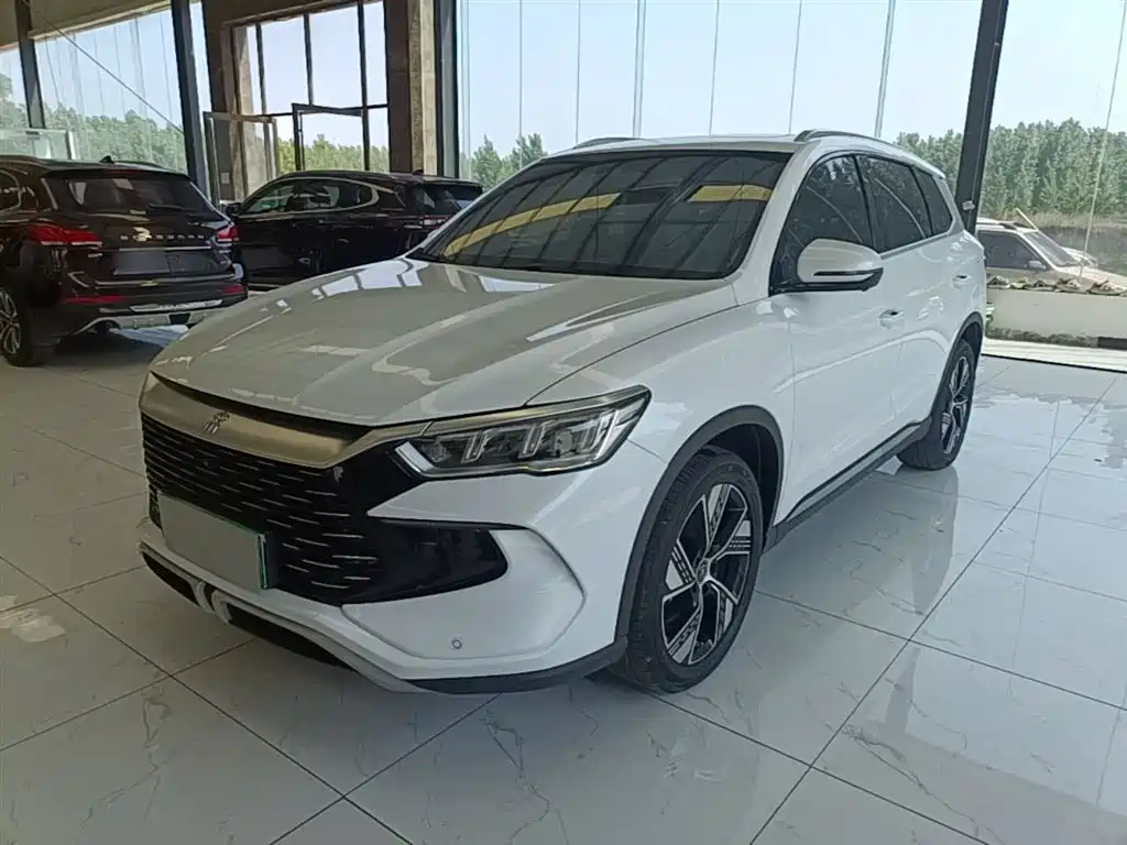 BYD Pro New Energy 2024 — фото 1