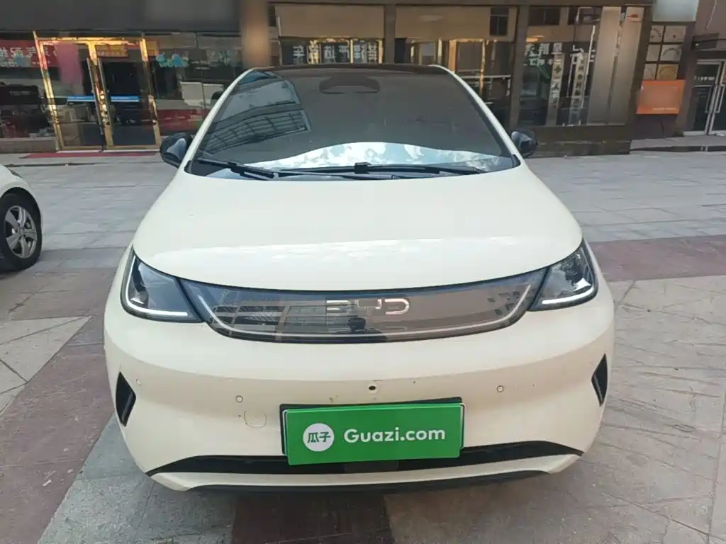 BYD Dolphin 2025