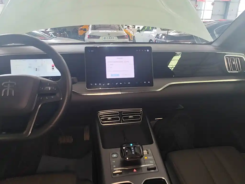 BYD Song Pro New Energy 2025 — фото 13