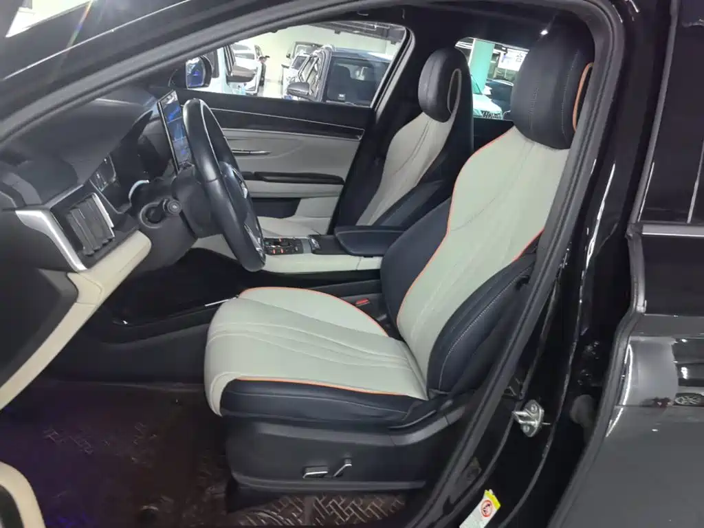 BYD Song PLUS New Energy 2023 — фото 15