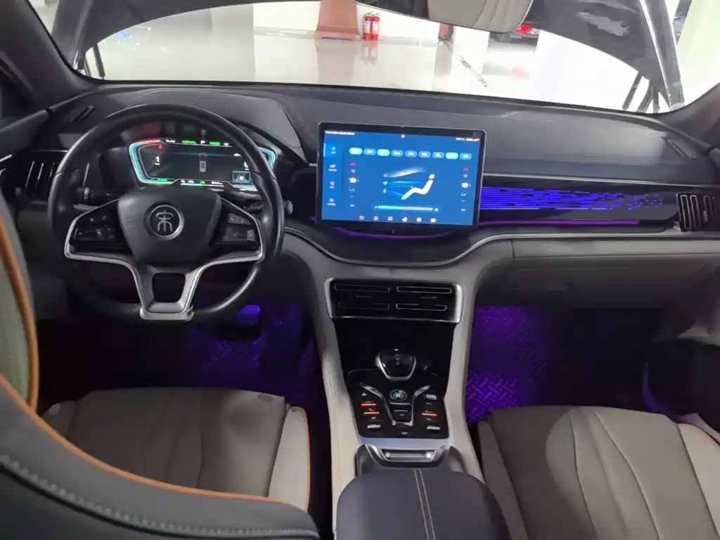 BYD Song PLUS New Energy 2023 — фото 10