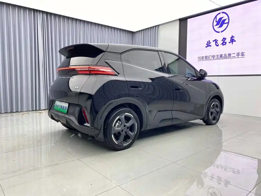 BYD Seagull 2024