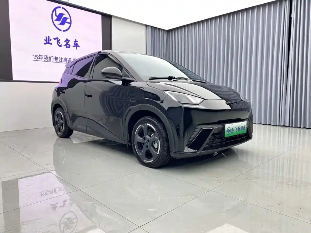 BYD Seagull 2024