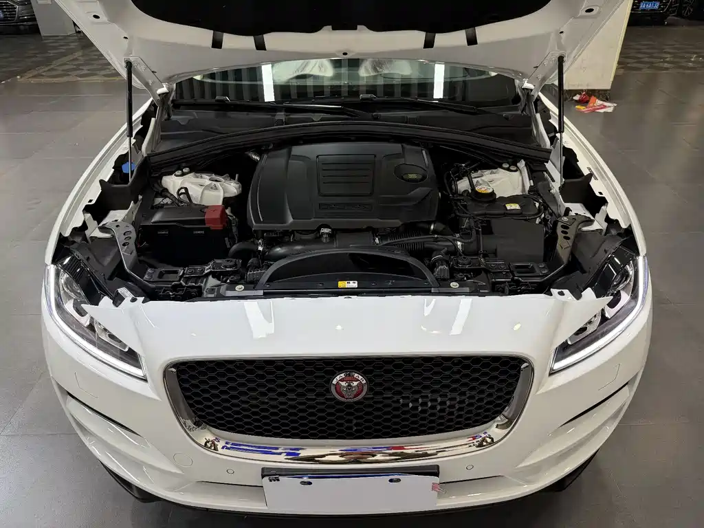 Jaguar F-PACE 2019 — фото 25