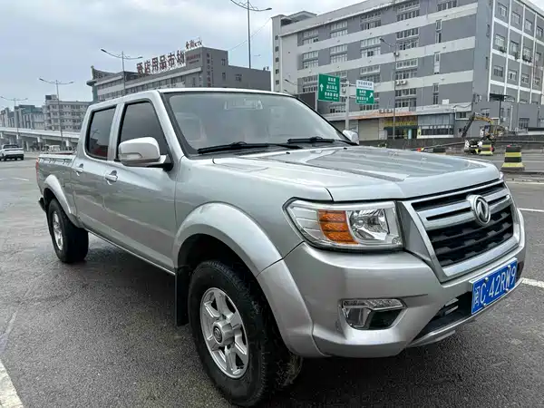 Dongfeng Ruiqi 2021