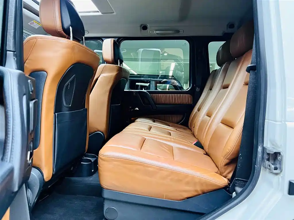 Mercedes-Benz G-Class 2017 — фото 16