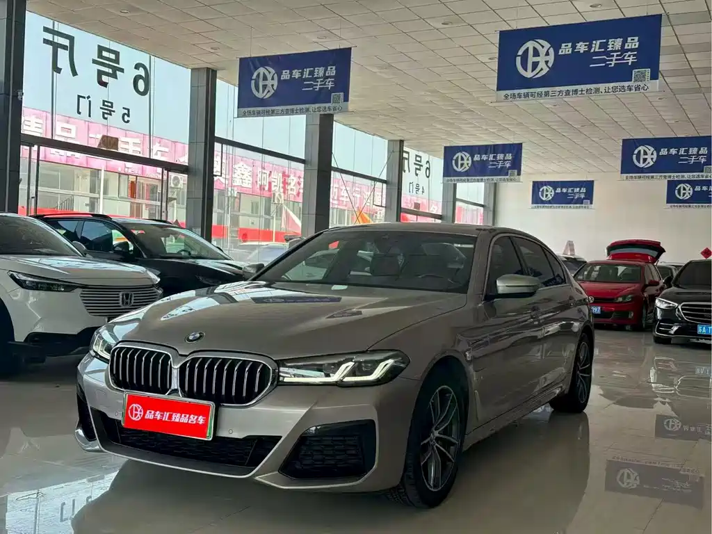 BMW 5 Series New Energy 2021
