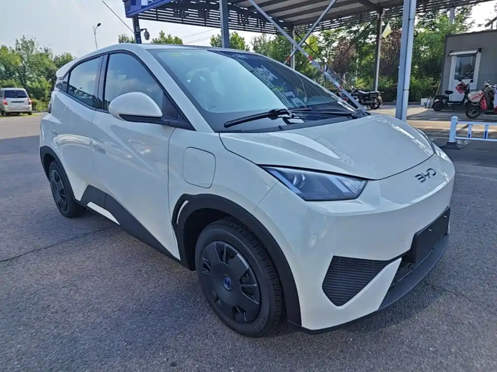 BYD Seagull 2026