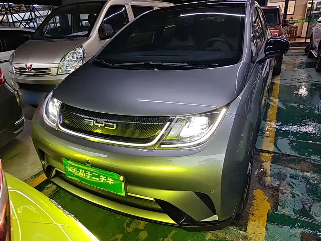 BYD Dolphin 2024