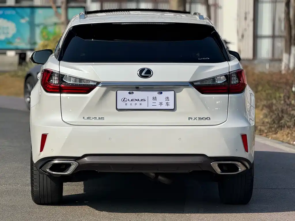 Lexus RX 2018 — фото 14