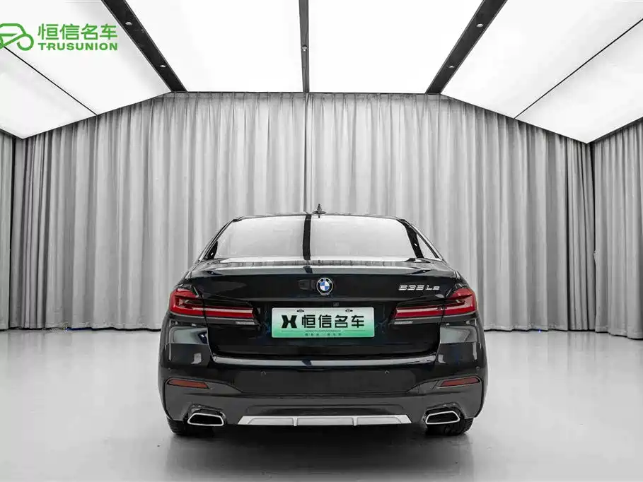 BMW 5 Series New Energy 2021