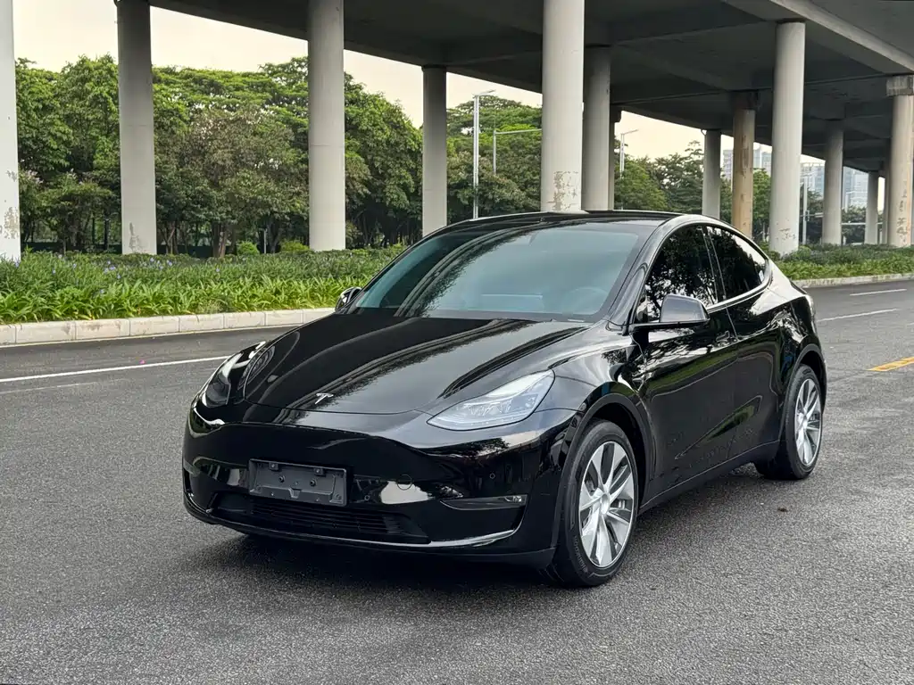 Tesla Model Y 2021 — фото 1