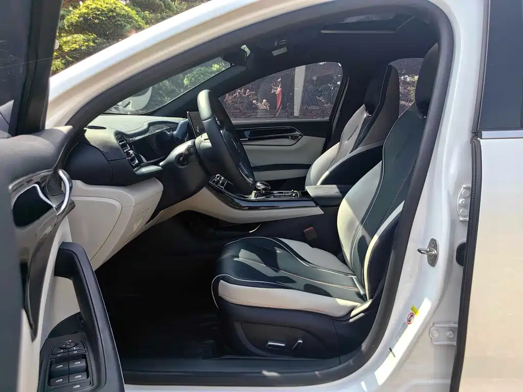 BYD Qin PLUS 2021 — фото 12