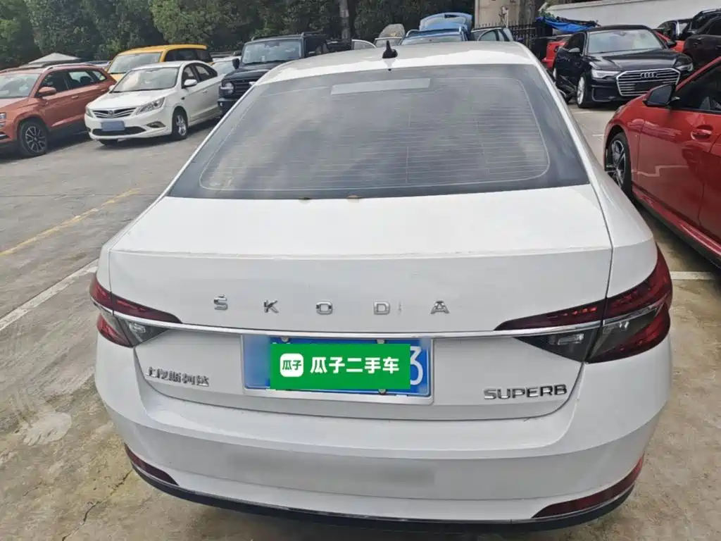 Skoda Speedy 2024