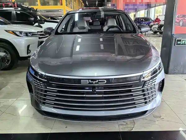 BYD Destroyer 05 2022