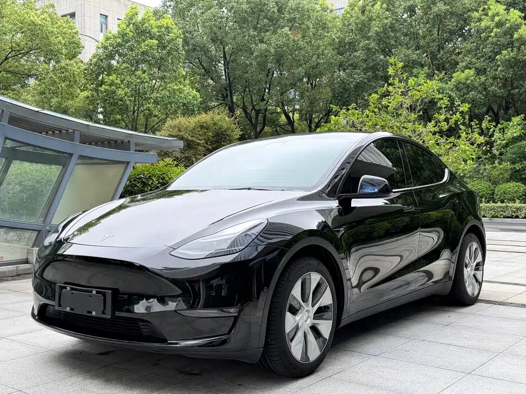 Tesla Model Y 2021 — фото 1