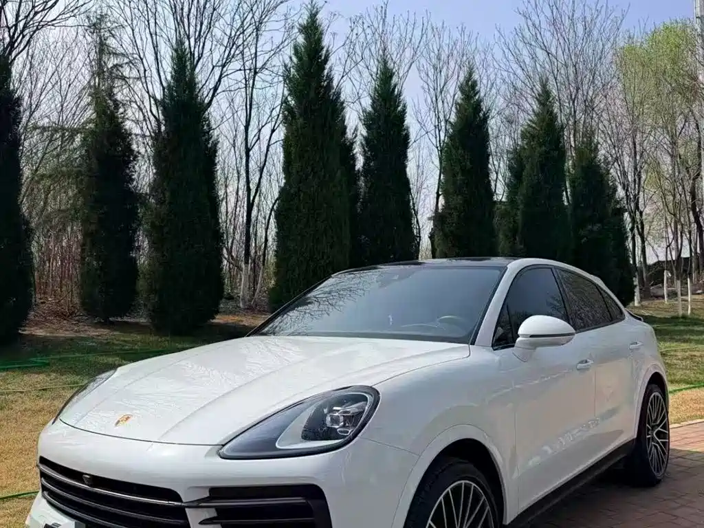 Porsche Cayenne 2023 — фото 1