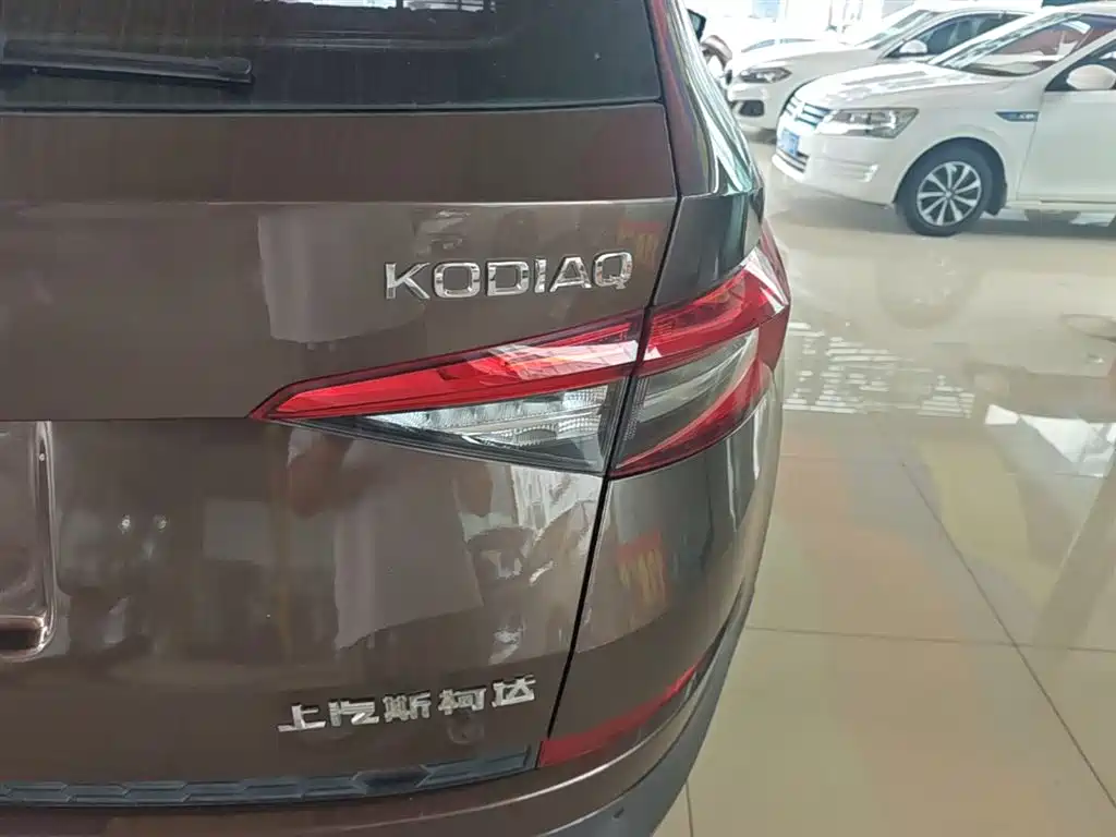 Skoda Kodiaq 2017 — фото 8