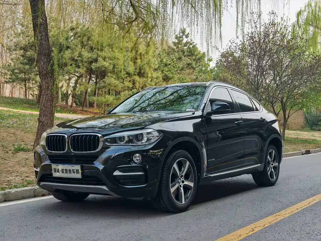 BMW X6 2015 — фото 1