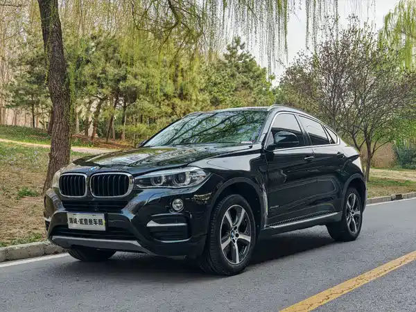 BMW X6 2015