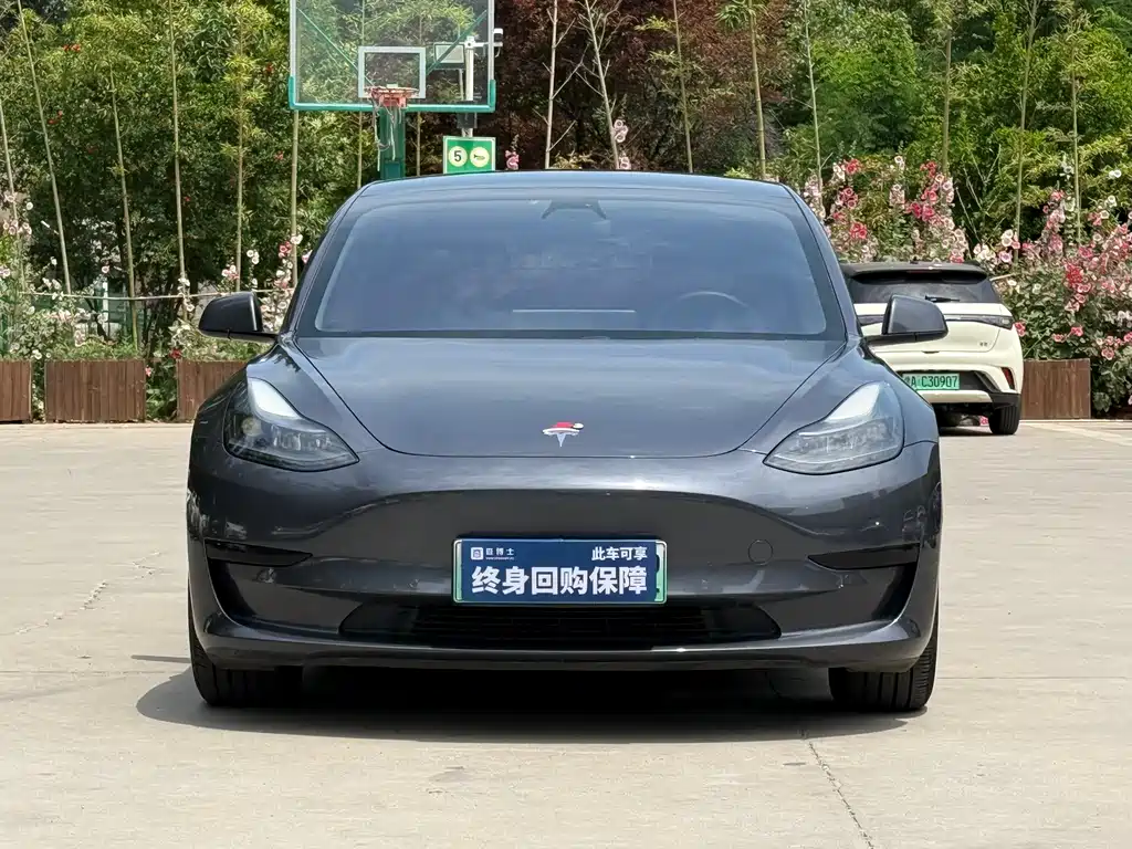 Tesla Model 3 2021 — фото 2
