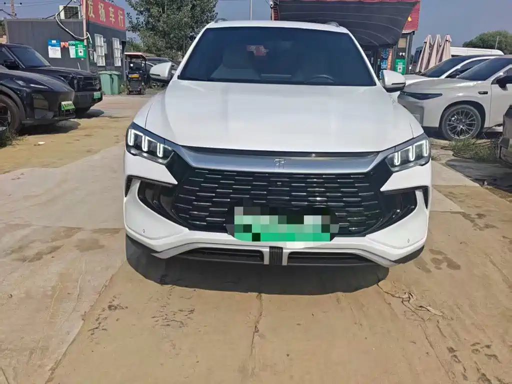 BYD Song Pro New Energy 2025 — фото 1