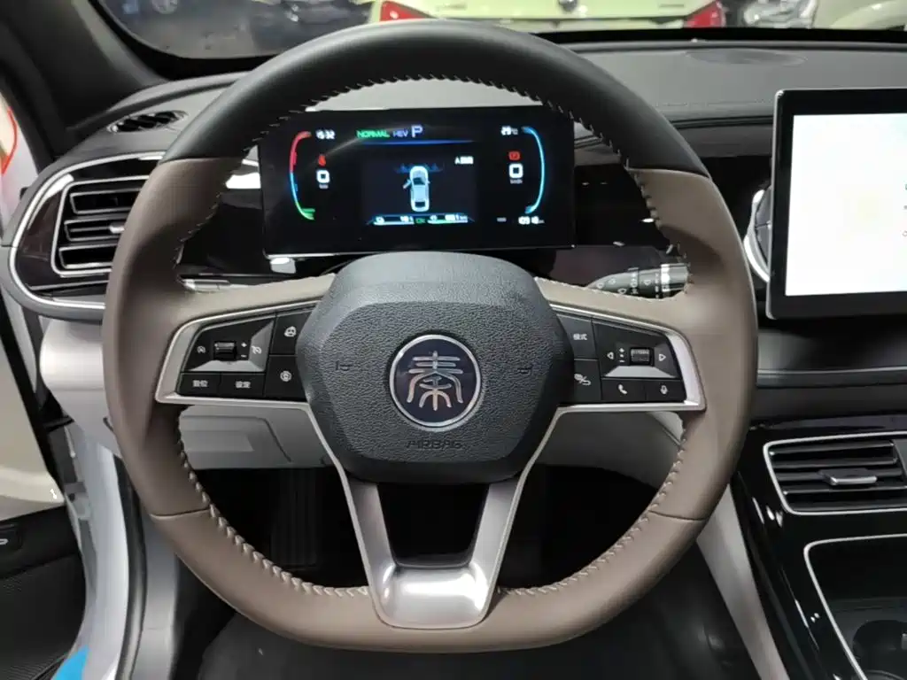 BYD Qin PLUS 2024 — фото 11