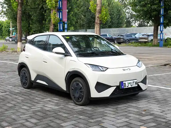 BYD Seagull 2026