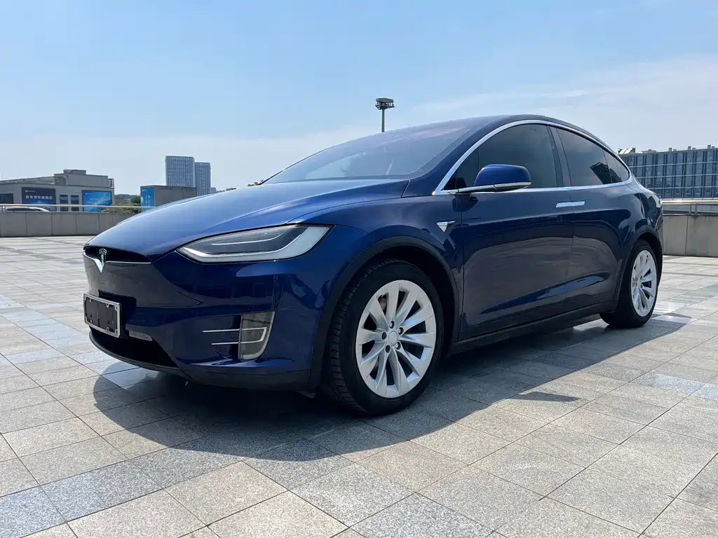 Tesla Model X 2017 — фото 1