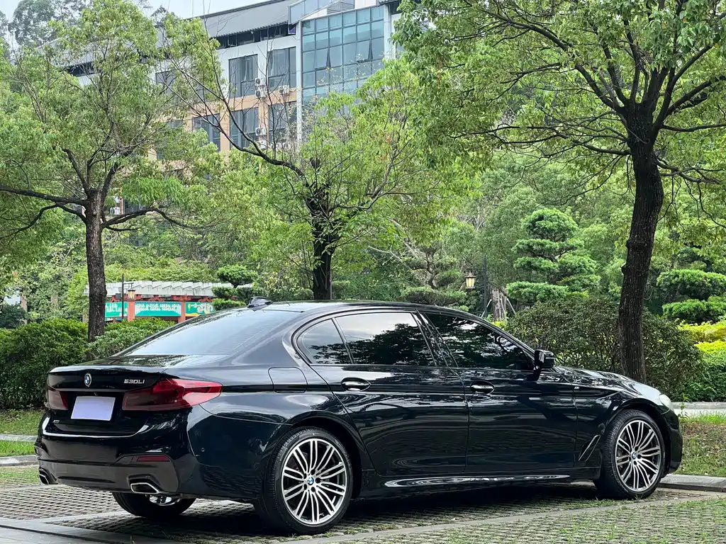 BMW 5 Series 2017 — фото 18