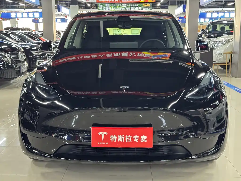 Tesla Model Y 2023 — фото 2